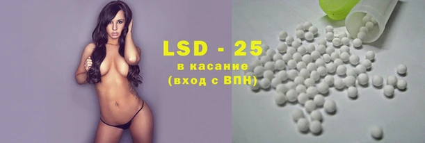 сатива Алзамай