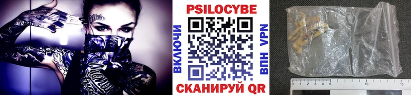 Псилоцибиновые грибы Cubensis Богданович